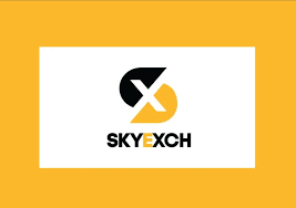 Get Your Sky Exchange ID Without Falling for Scams